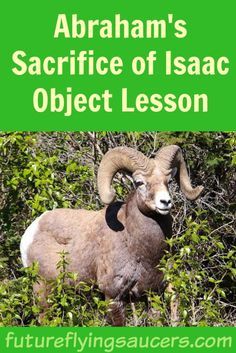 This lesson based upon Abraham's Sacrifice of Isaac will help children to understand the meaning of sacrifice and why God asks us to be a living sacrifice. ~ futureflyingsaucers.com Isaac Sacrifice Craft For Kids, Ahg Crafts, Sacrifice Of Isaac, Abraham And Isaac, Living Sacrifice, Abrahamic Covenant, Abraham Isaac, Chapel Ideas, Story Of Abraham