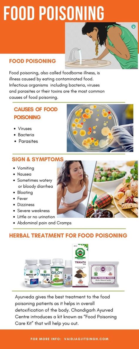 Food Poisoning Foods To Eat, Food Poisoning Remedy Natural Treatments, Food Poisoning Remedies, Food Contamination, Food Poisoning Symptoms, Nursing Skills, Health Equipment, Contaminated Food, Ant Killer