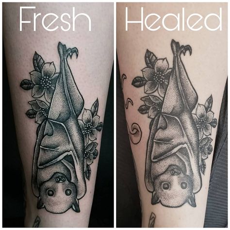 Fresh VS healed bat 🦇 Would love to tattoo a long eared bat! Pester my messages and I'll sort you out 🦇💖 Bats On Hip Tattoo, Hang In There Bat Tattoo, Hanging Bat Tattoo, Hanging Bat Tattoo Design, Bat Hanging Upside Down Tattoo, Bat Floral Tattoo, Bat Tattoo, Hanging Bat, Cat Tattoo