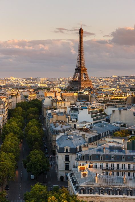 16th Arrondissement Paris Neighborhoods, Torre Eiffel Paris, Europe Honeymoon, France Travel Guide, Beautiful Paris, Paris Tours, Paris Photo, Paris Photos, The Eiffel Tower