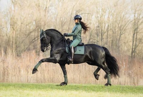 Friesian Dressage, Horseback Riding Outfits, Horse Riding Outfit, Equestrian Aesthetic, Horse Riding Clothes, Equestrian Girls, Horse Dressage, Horse Wallpaper, Friesian Horse