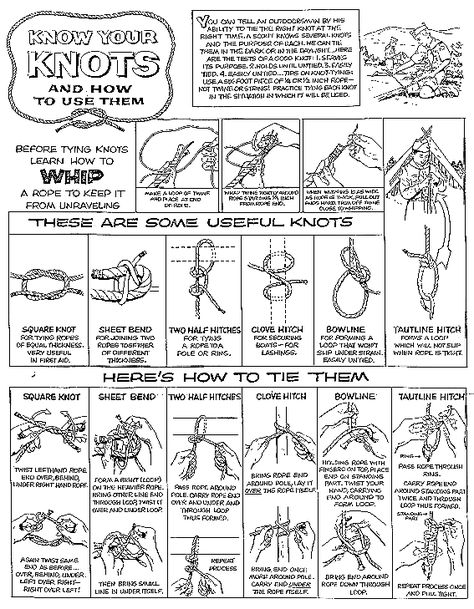 KNOTS AND HITCHES GALLERY Essential Knots, Scout Knots, Cub Scouts Bear, Bear Scouts, Camping Knots, American Heritage Girls, Survival Knots, Girl Scout Camping, Knots Guide