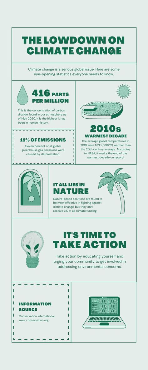 Infographic Template Design - Green Lined Climate Change Environment