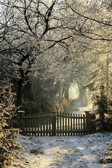 winter gate  ... soon will see the entry of the small farm so  { logo verei a entrada do sitio assim} Forest Driveway, Perimeter Fencing, Black Gate, الفن الرقمي, Victoria Station, Snowy Trees, Winter Love, Winter Light, Hello Winter