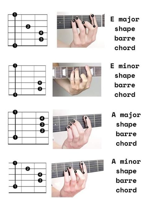 Guitar Barre Chord Chart, Barre Chords Guitar Charts, Barre Chords Guitar, Basic Guitar Chords Chart, Learn Electric Guitar, Barre Chords, Bass Guitar Chords, Appalachian People, Music Terms