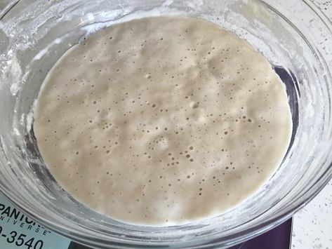 How to make a starter – The home of great sourdough Einkorn Sourdough Starter, Gluten Free Flatbread Recipe, Einkorn Sourdough, Gluten Free Hamburger Buns, Gluten Free English Muffins, Gluten Free Hamburger, Gluten Free Flatbread, Sourdough Bread Starter, Pasta Per Pizza