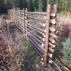 Backyard Christmas, Fence Gate Design, Summer Mantle, Summer Mantle Decor, Farm Fence, Front Yard Landscaping Simple, Front House Landscaping, Backyard Fences, Wooden Fence