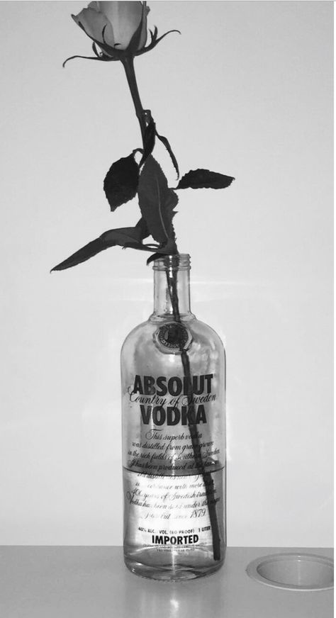 Vodka Tumblr Aesthetic, Room Canvas, Black And White Background, Photos Tumblr, Iphone Wallpaper Vintage, Red Aesthetic, Aesthetic Backgrounds, Black Rose, Wall Collage