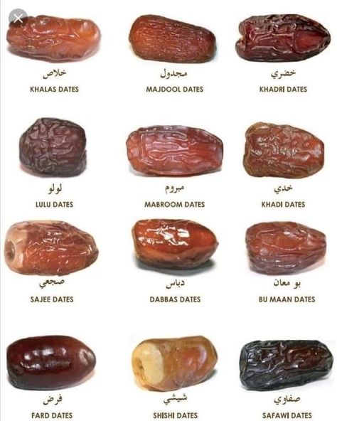 Types Of Dates, Dry Fruits Benefits, Date Recipes Desserts, Health Fitness Food, Health Facts Food, Fruit Benefits, Date Recipes, Food Facts, Arabic Food