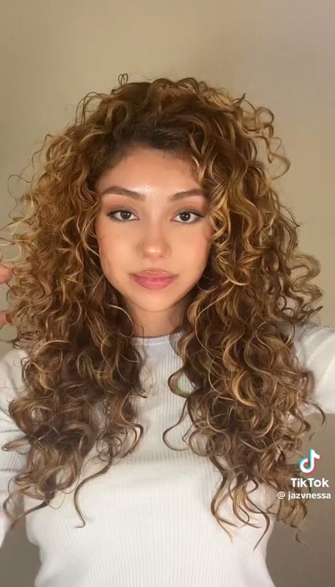 Ginger Brown Highlights Curly Hair, Honey Brown Curly Hair With Highlights, Honey Brown Curly Hair, Honey Caramel Hair, Short Curly Hair Updo, Golden Brown Highlights, Blonde Highlights Curly Hair, Highlights Curly, Dark Curly Hair