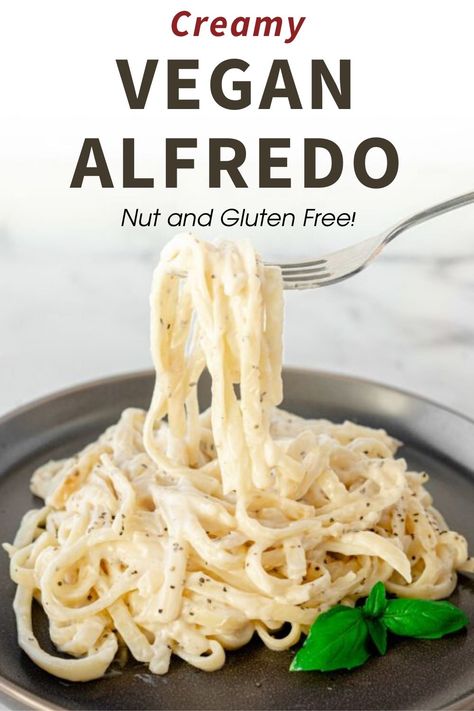 Vegan Alfredo Sauce Coconut Milk, Easy Vegan Alfredo Sauce, Fetuchini Alfredo, Aip Sauces, Homemade Staples, Dairy Free Alfredo Sauce, Vegan Sauce Recipes, Vegan Pasta Sauce, Vegan Journey