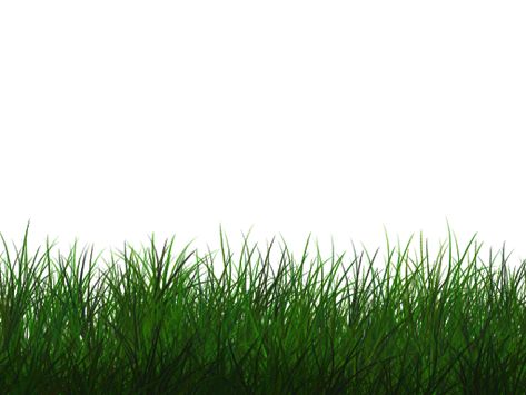 Grass Texture Seamless, Grass Photoshop, Png Nature, Grass Clipart, Grass Texture, Texture Seamless, Background Images For Editing, Png Hd, Free Textures