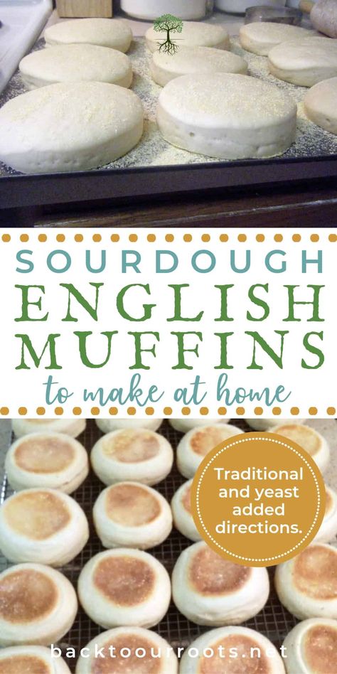 Bread Types, Sourdough English Muffins, English Muffin Recipes, Whole Wheat Sourdough, Sourdough Starter Discard Recipe, Bread Starter, Sourdough Starter Recipe, English Muffins, Sourdough Baking