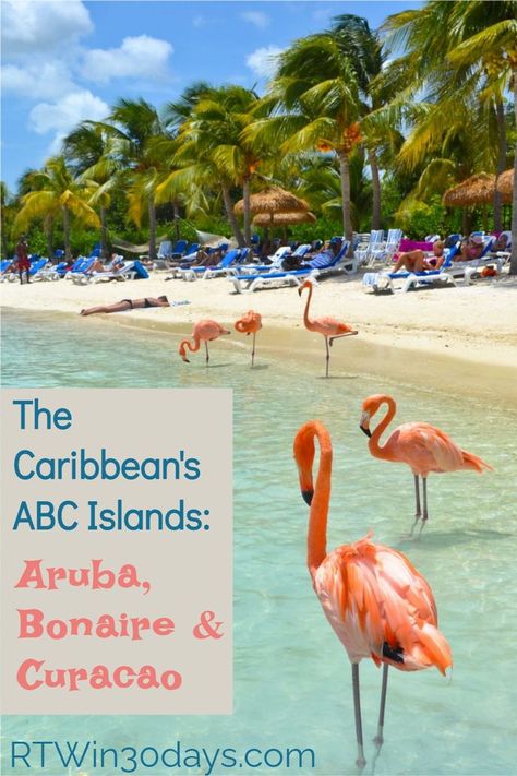 Flamingo Beach Aruba, Abc Islands, I Need A Vacation, Anniversary Cruise, Top Honeymoon Destinations, Paris Travel Photography, Caribbean Destinations, Relaxing Travel, Summer Escape