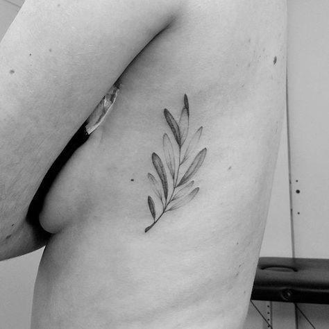 La très fine branche d'olivier de Iris  merci !  #olivetattoo #singleneedle… Olive Tattoo, Olive Branch Tattoo, Ribcage Tattoo, Branch Tattoo, Inspiration Tattoos, B Tattoo, Tattoo Magazines, Draw Sketch, Rib Tattoo