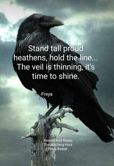 The Crow Quotes, Crow Quotes, Crow Facts, Goddess Magick, Norse Legend, Nature Witch, Witch Quotes, Witch Spirituality, Dark Wings