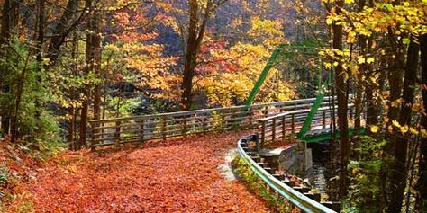 Mohawk Trail Massachusetts, Massachusetts Fall, Maine Aesthetic, White Mountain National Forest, England Aesthetic, Garden Estate, Colored Leaves, Autumn In New York, New England Travel