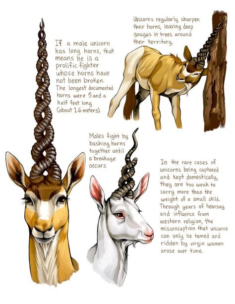 (99+) My take on unicorns! I'd really love to make a mythical creature field guide someday, since the Spiderwick Field Guide is what... – @lylahammar no Tumblr Start Drawing, Fantasy Beasts, Creature Drawings, Mythical Creature, Fantasy Creatures Art, Arte Sketchbook, Mythical Creatures Art, Mythological Creatures, Monster Design