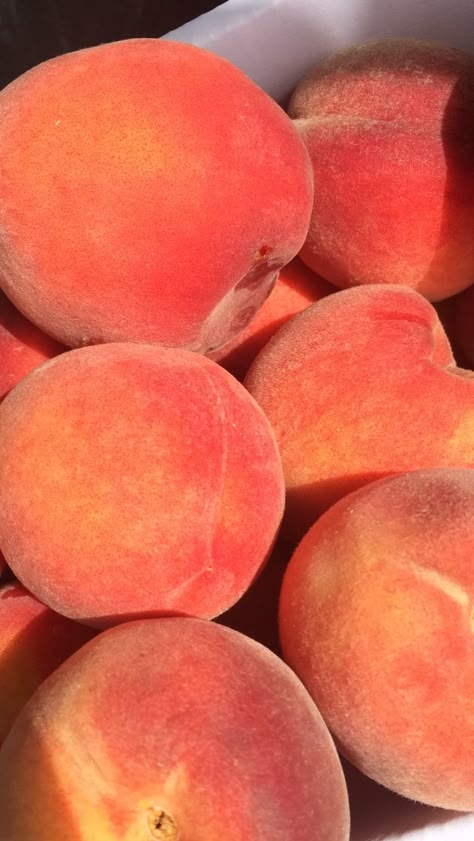 Color Melon, Peach Aesthetic, Peach Fruit, Orange Aesthetic, Roald Dahl, Just Peachy, Pretty Food, Peaches, Summer Aesthetic