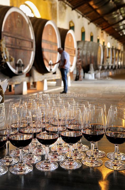 Portuguese Vineyard, Wine Portugal, Portugal Wine, Grapes Wine, Portuguese Wine, Wine Tourism, Wine House, Sintra Portugal, Wine Wednesday