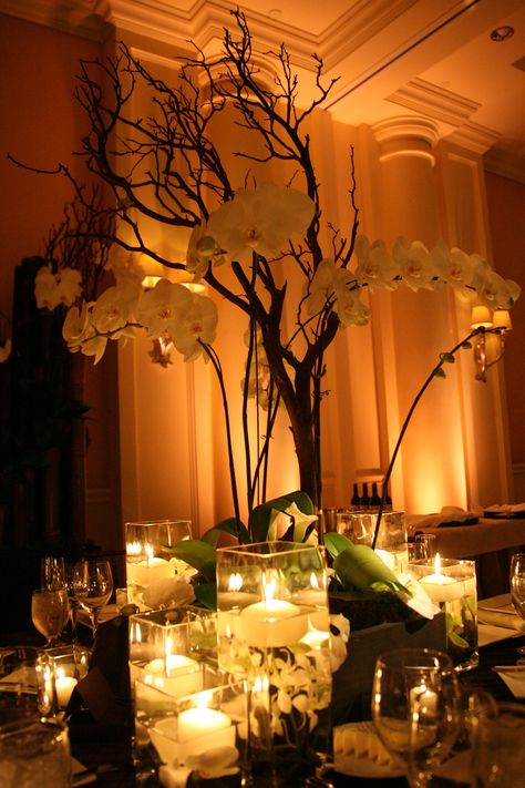 Just love the amber lighting idea for later in the night for Kara and Tim's reception Wedding Uplighting, Uplighting Wedding, Romantic Lighting, Event Lighting, Wedding Lights, Fairytale Wedding, Flower Centerpieces, Reception Decorations, Wedding Wire