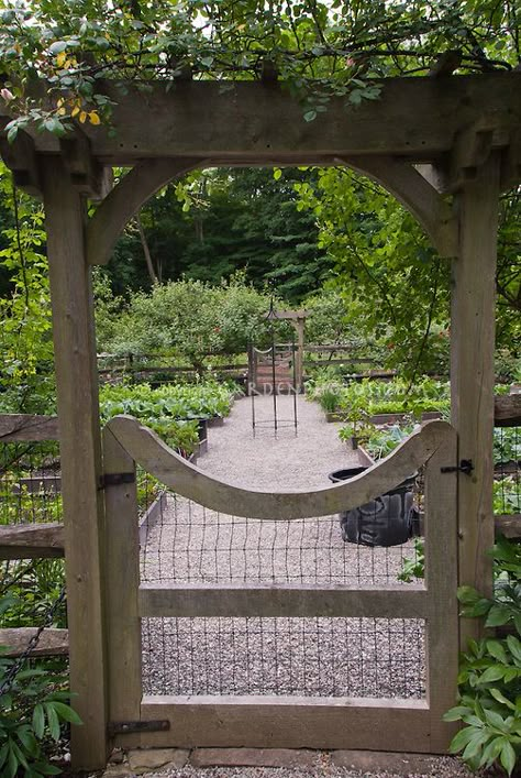 Gate Design Ideas, Fenced Vegetable Garden, Garden Gates And Fencing, Garden Gate Design, Wooden Gate, Backyard Vegetable Gardens, Garden Vines, Potager Garden, Garden Arbor