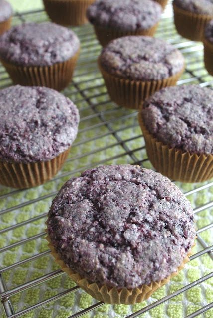 Blue Corn Muffins Recipe, Recipes With Masa Flour, Blue Cornbread Recipe, Corn Flour Recipes, Masa Recipes, Cornmeal Recipes, Cornbread With Corn, Simple Foods, Berry Muffins