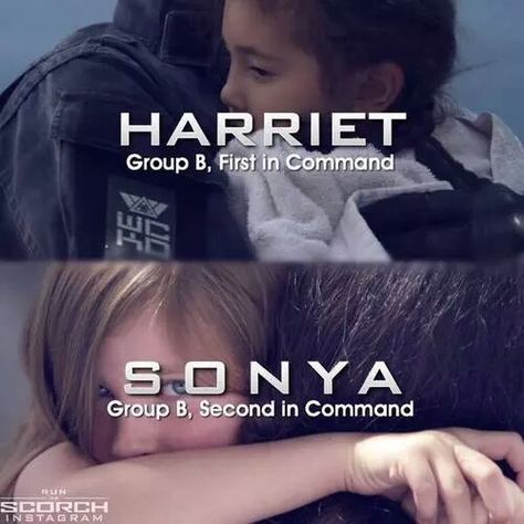 Group B The Maze Runner, Maze Runner, Memes, Instagram