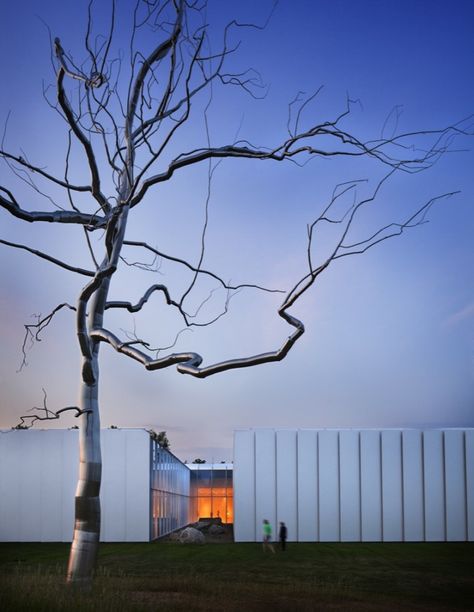 North Carolina Museum of Art - Thomas Phifer Thomas Phifer, Museum Interior, Art Thomas, Interior Design Images, Interior Design Boards, Famous Architects, Structural Engineering, Landscape Architect, Architecture Project