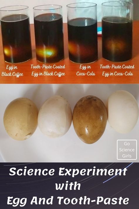 Egg and Toothpaste Experiment (Learn Importance of Brushing Your Teeth) Dentist Science Experiment, Tooth Science Experiments, Dental Health Science Experiment, Egg Experiments For Kids Dental Health, Science Experiments With Eggs, Egg Toothpaste Experiment, Egg And Toothpaste Experiment, Egg Science Experiment For Kids, Eggs Experiment