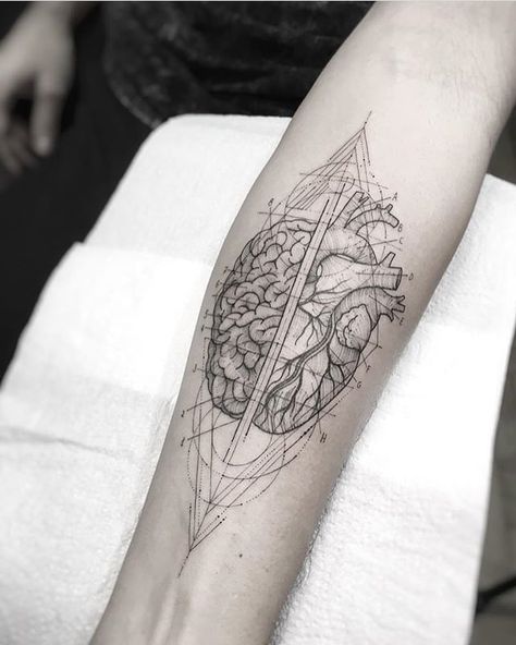 Heart Brain Tattoo Anatomy Tattoo, Thin Line Tattoos, Science Tattoo, Minimalist Tattoo Meaning, Brain Tattoo, Heart And Brain, Medical Tattoo, Typography Tattoo, Girls With Sleeve Tattoos