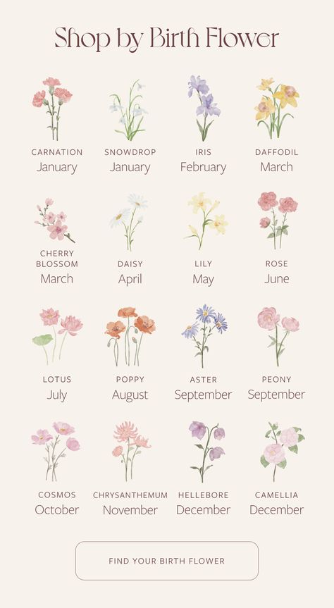 May September October Flower Tattoo, September And November Flower Tattoo, August Flower Tattoo, August Flowers, June Flower, October Birth Flowers, September Birth Flower, November Birth Flower, June Birth Flower