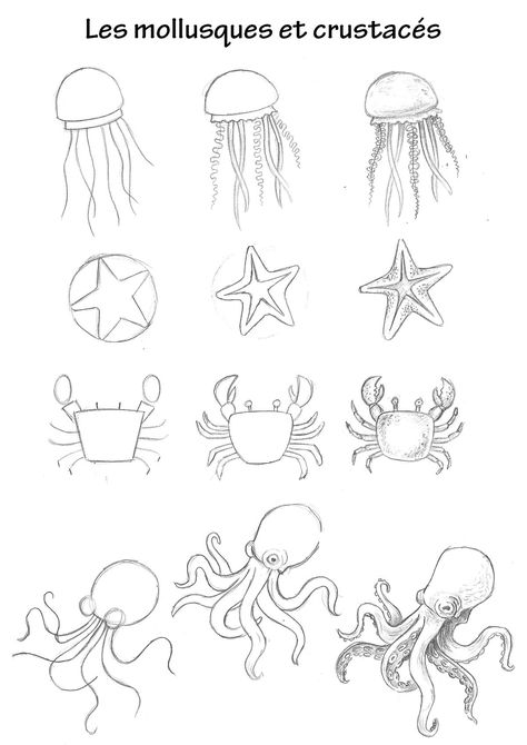 Under The Sea Animals Drawings, Marine Animal Drawings Easy, Jelly Fish Drawing Easy Step By Step, Underwater Animals Drawing Easy, Easy Under The Sea Drawings, Easy Fish Drawing Step By Step, How To Draw Marine Animals, Ocean Animals Drawing Easy, Sea Creatures Drawing Ocean