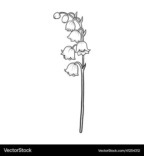 Lily Of The Valley Flower Drawing, Drawing Lily Of The Valley, Lily Of The Valley Illustration, Lily Of The Valley Drawing, Valley Drawing, Lily Valley, Lily Of Valley, Hair Stenciling, Lily Of The Valley Flowers