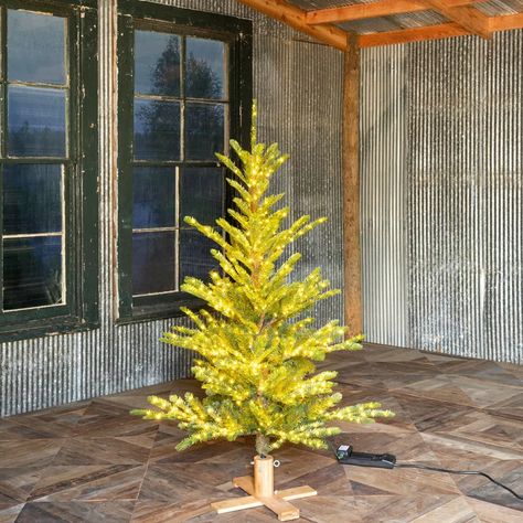 Park Hill Artificial Spruce Christmas Tree with Lights | Perigold Christmas Tree With Lights, Park Hill Collection, Tree With Lights, Spruce Christmas Tree, Prelit Tree, Park Hill, Spruce Tree, Blue Spruce, Christmas Tree Lighting