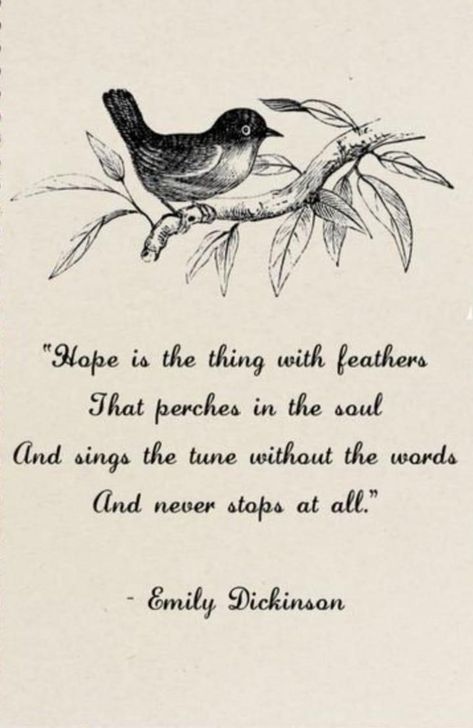 Blue Bird Of Happiness Quotes, Bird Poems Quotes, Bird Quotes Inspirational Short, Free As A Bird Quotes, Poems About Birds, Bird Poems, Commonplace Journal, Bird Symbolism, Soul Keeper