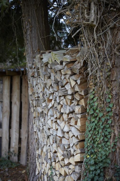 The Well-Kept Woodpile: 10 Tips to Stack and Care for Firewood Outdoors - Gardenista Firewood Storage Shed, Wood Stacking Ideas Outdoor, Stacked Firewood, Stacking Firewood, Store Firewood, Log Art, Stacking Wood, Fern Garden, House Maintenance