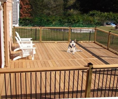 Deck With Dog Area, Dog Deck Ideas, Doghouse Under Deck, Kennel Decking, Under Deck Dog Area, Deck Ramp For Dogs, Dog Play Area, Wood Deck Designs, Deck Finishes