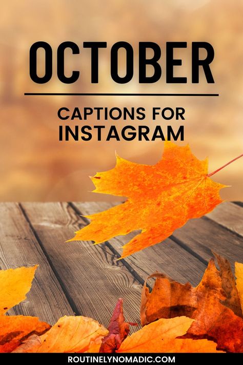 Fall leaves with October captions for Instagram October Wishes Quotes Inspirational, October 1st Quotes Halloween, Welcoming October Quotes, October Favorite Month, October Salon Quotes, First Day Of October Funny, October 1st Quotes Inspirational, First October Quotes, October Fitness Quotes