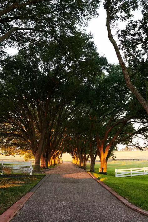 This Family Found Home In A 1907 Farmhouse In Brenham, Texas Harris House, Brenham Texas, Marie Flanigan Interiors, Dallas Homes, Farmhouse Restoration, Texas Farmhouse, Restored Farmhouse, Houses Exterior, Marie Flanigan