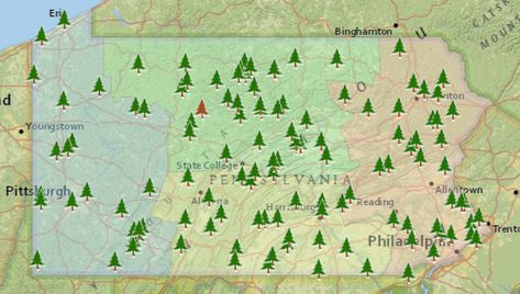 Visit PA State Parks! How did they get started & which are our top 3? Oregon Coast Camping, Southern Oregon Coast, Cuyahoga Valley National Park, Kayak Camping, Camping Destinations, Kayak Tours, Camping Locations, Camping Spots, Hammock Camping