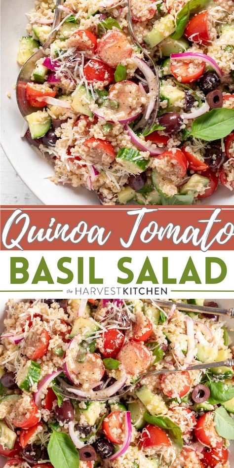 This Quinoa Tomato Basil Salad makes a perfect side to serve with grilled chicken and fish or enjoy it on its own as a light main for lunch or dinner. Basil Quinoa, Quinoa Tomato, Tomato Basil Salad, Basil Salad, Food Chemistry, Quinoa Salad Recipe, Mediterranean Quinoa Salad, Harvest Kitchen, Hearty Casseroles