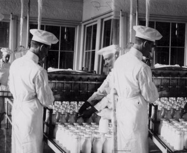 History of pasteurization process Pasteurized Milk, Boiled Cabbage, Dairy Industry, Science History, Pasteurizing Milk, Tartaric Acid, History Of Science, Milk Cans, April 20