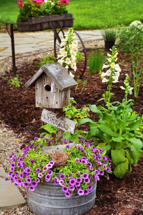 Corner Gardens, Primitive Gardens, Ranch Garden, Garden Diy Decoration Ideas, Serene Backyard, Adirondack Decor, Rustic Garden Ideas, Garden Answer, Rustic Landscaping