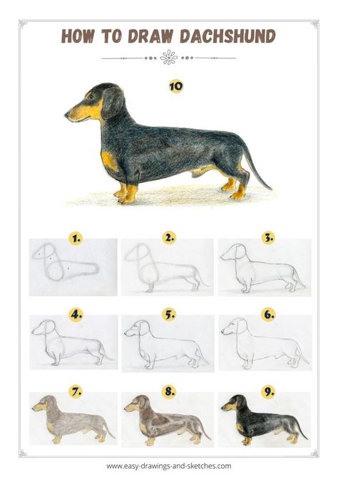 Wire Haired Dachshund Drawing, How To Draw A Dachshund Step By Step, Daschund Painting Easy, How To Draw A Dachshund, Dachshund Painting Easy, Dachshund Drawing Easy, Daschund Drawing, Wiener Dog Drawing, Weiner Dog Drawing