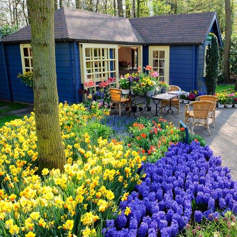 Painted Garden Sheds, Small Front Yard, Small Backyard Gardens, Purple Garden, Most Beautiful Gardens, Front Yard Garden, Garden Borders, Gorgeous Gardens, Garden Structures