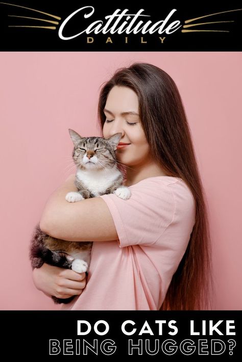 Hugging Cat Reference, People Holding Cats, Cat Hugging Human, Cat Comforting Human, Animals Hugging People, Cats Language, Cats Behavior, Cat And Human, Hug Pose