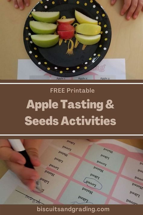 Apple Tasting, Apple Seeds, Free Printables, Biscuits, Seeds