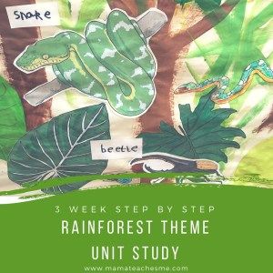 Rainforest Preschool, Rainforest Activities, Rainforest Biome, Rainforest Theme, Role Play Areas, Rumble In The Jungle, Rainforest Animals, London Zoo, Homeschool Learning