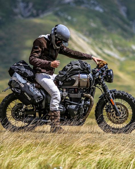 Triumph Scrambler 400x Wallpaper, Triumph T120 Bonneville, Triumph Scrambler Custom, Scrambler Bike, Bonneville Motorcycle, Adventure Bike Motorcycles, Triumph T120, Triumph Motorbikes, Triumph Bonneville T120